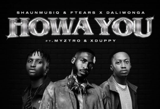 Shaunmusiq, Ftears & Daliwonga – Howa You (feat. Myztro & Xduppy)