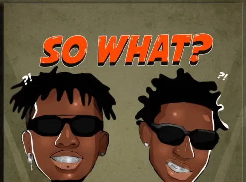 Tekno – So What? (feat. Shallipopi)