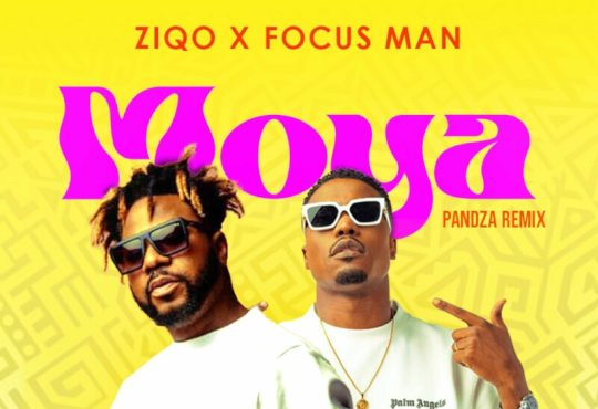 Ziqo - Moya (feat. Focus Man)