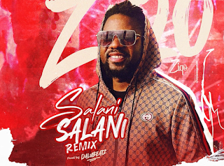 Ziqo - SALANI SALANI (Remix)