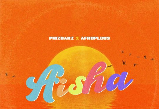 Phizbarz Afroplugs - Aisha