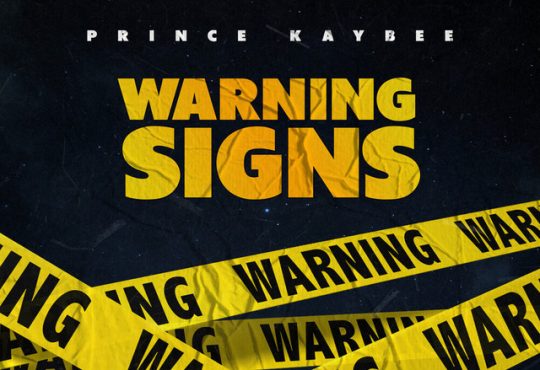 Prince Kaybee - Warning Signs (feat. Kali Mija)