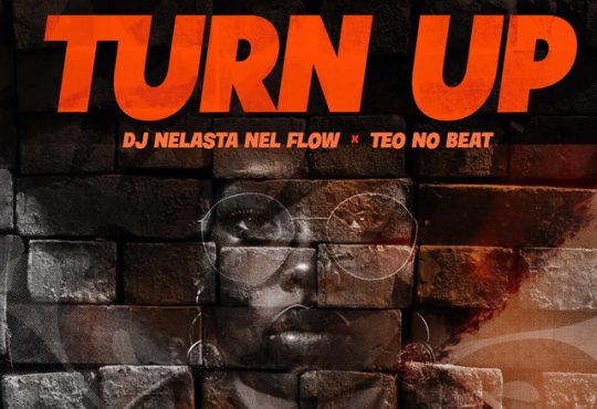 DJ Nelasta Nel Flow & Teo No Beat - Turn Up