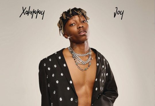Xduppy - Yebo Baba (feat. Madumane, Mellow & Sleazy, Uncool MC & Ricky Lenyora)