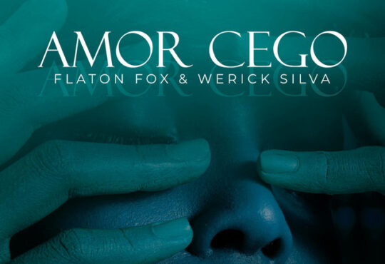 DJ Flaton Fox & Werick Silva - Amor Cego