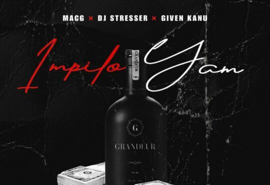 MACG, DJ Stresser & Given Kanu - Impilo Yam (feat. Subzero J & Ghost The Entertainer)