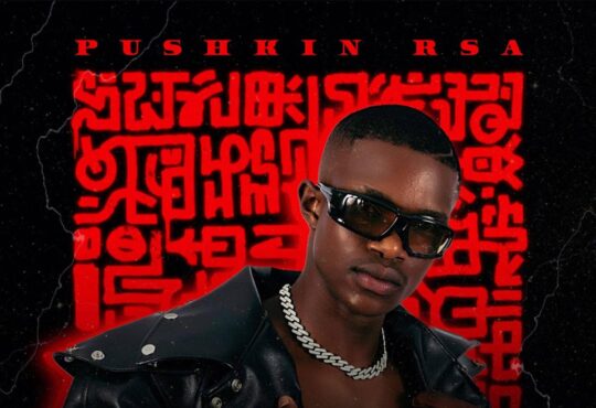 Pushkin RSA & Springle - Mbali (feat. AMAQHAWE, Sonini, T&T Muziq & TorQue MuziQ)