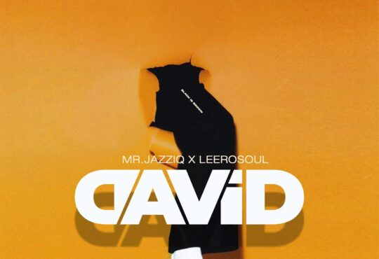 Mr JazziQ & Leerosoul - David