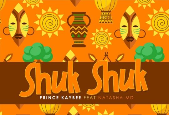 Prince Kaybee - Shuk Shuk (feat. Natasha MD)