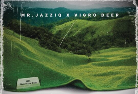 Mr JazziQ & Vigro Deep – Blue Skies Reloaded